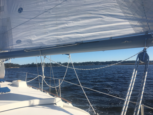Sailing the Stono Sailing the Stono