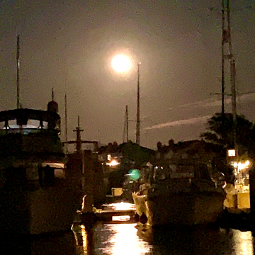The blue moon over Bohicket Creek! The blue moon over Bohicket Creek!