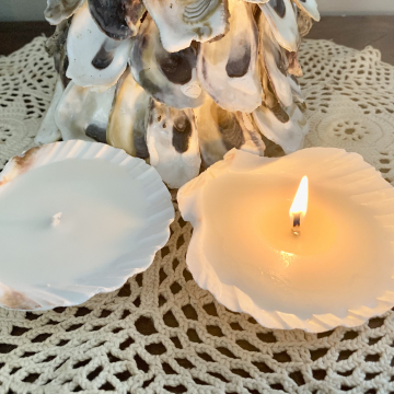 Clam Shell Tea Lights Clam Shell Tea Lights